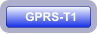 GPRS-T1