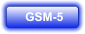 GSM-5