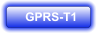 GPRS-T1